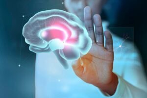 Brain Rot (Beyin Çürümesi) Nedir? - Mutlu Yaşam Danışmanlık